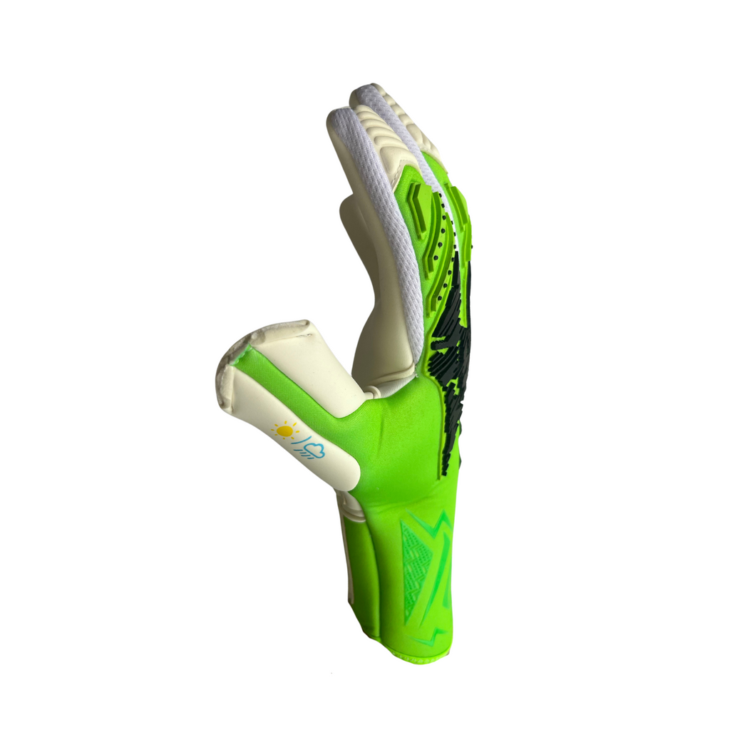 Anomaly S.25 Negative Cut