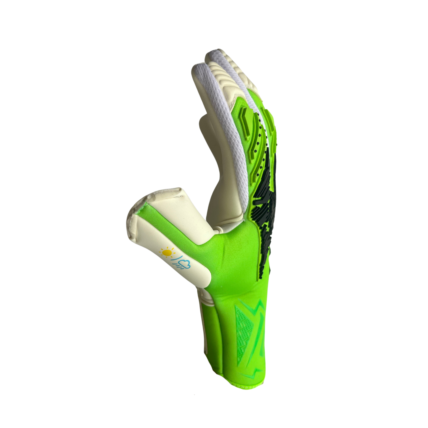 Anomaly S.25 Negative Cut